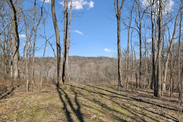 8771 Dog Branch Rd, Mount Pleasant, TN 38474