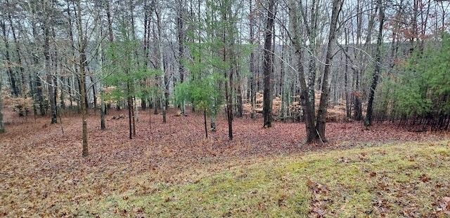 0 Wilderness Ln, Spencer TN, 38585 land for sale