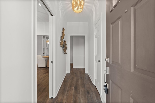 hall with baseboards, dark wood-type flooring, and crown molding