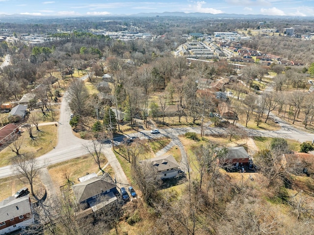 1100 Massman Dr, Nashville, TN 37217 - photo 41