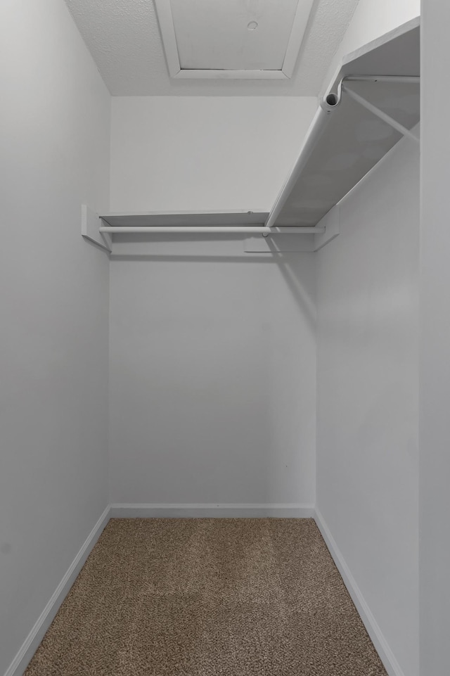 walk in closet with carpet floors and attic access