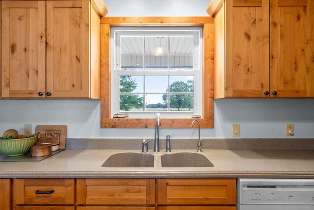 765 Heron Rd, Murray, KY 42071 - kitchen with dishwasher, light countertops, and a sink