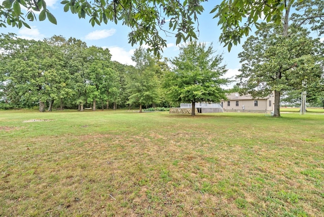 765 Heron Rd, Murray, KY 42071 - view of yard
