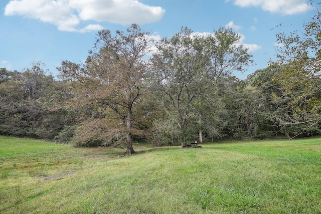 view of yard featuring a forest view