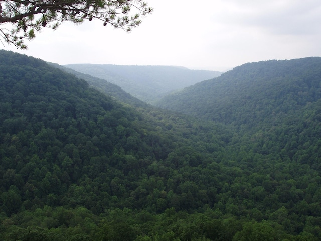 mountain view with a forest view