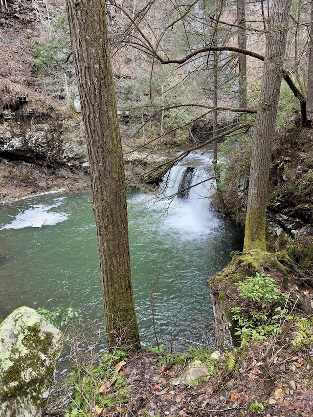 view of water feature