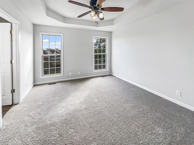 empty room featuring plenty of natural light, a raised ceiling, carpet flooring, and baseboards