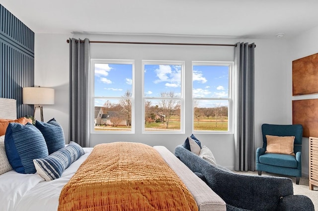 bedroom with carpet