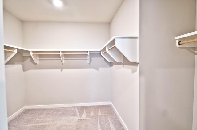 spacious closet with carpet floors