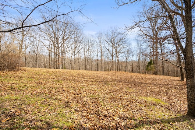 view of nature with a forest view