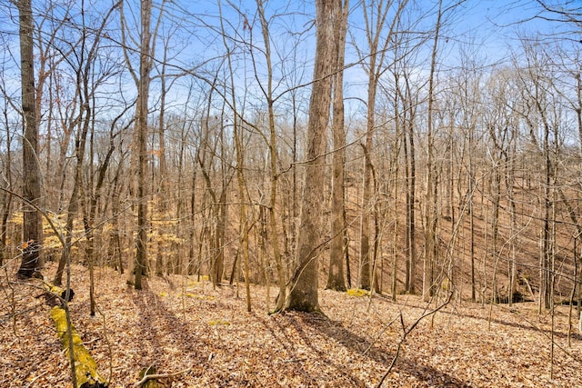 view of landscape featuring a view of trees