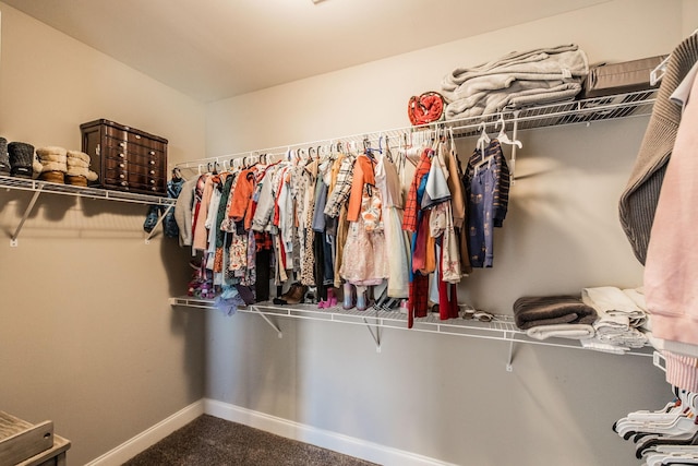 spacious closet featuring carpet floors