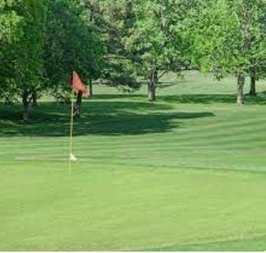 view of community featuring golf course view and a yard