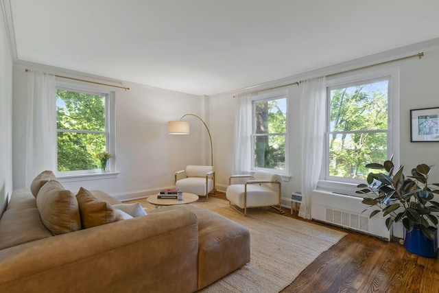 living room featuring plenty of natural light, wood finished floors, and baseboards