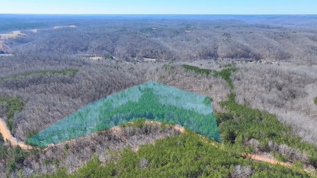 0 Old Mail Rd, Duck River TN, 38454 land for sale