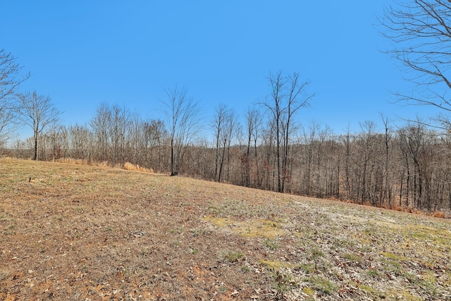 view of local wilderness with a forest view