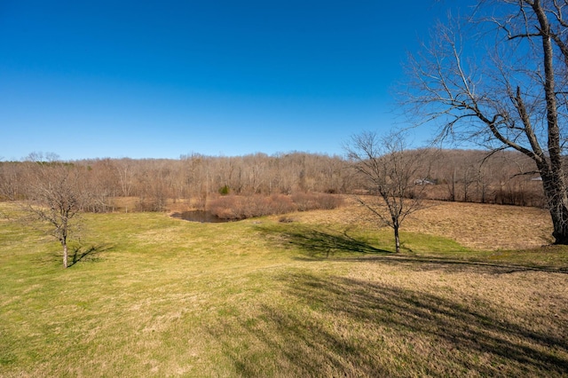 view of landscape featuring a rural view