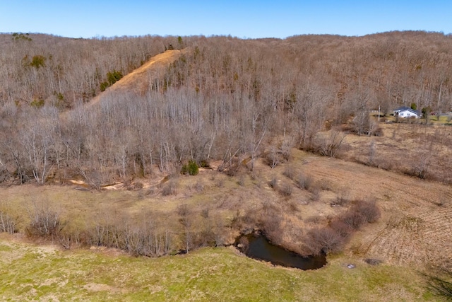 view of nature with a view of trees