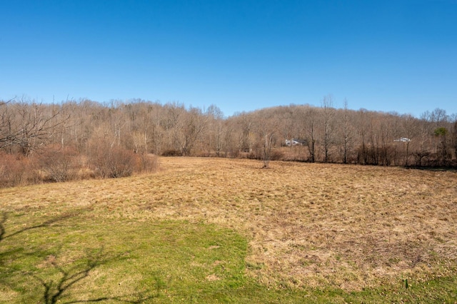 view of nature featuring a view of trees