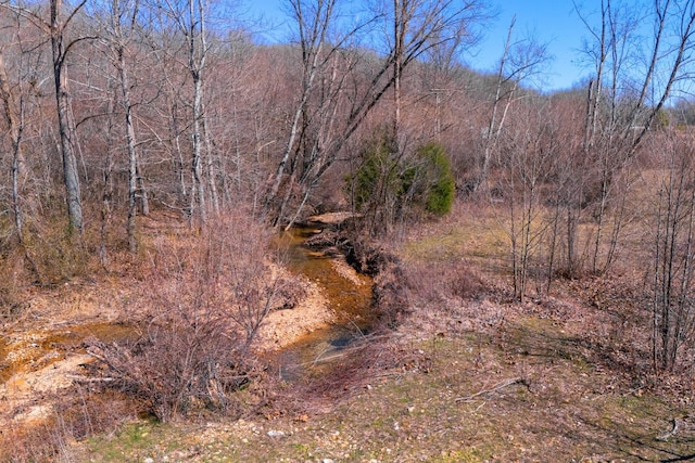 view of nature featuring a wooded view