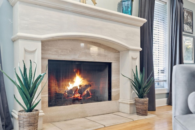 room details with wood finished floors and a high end fireplace