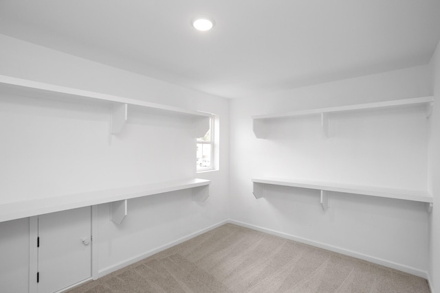 spacious closet with light colored carpet