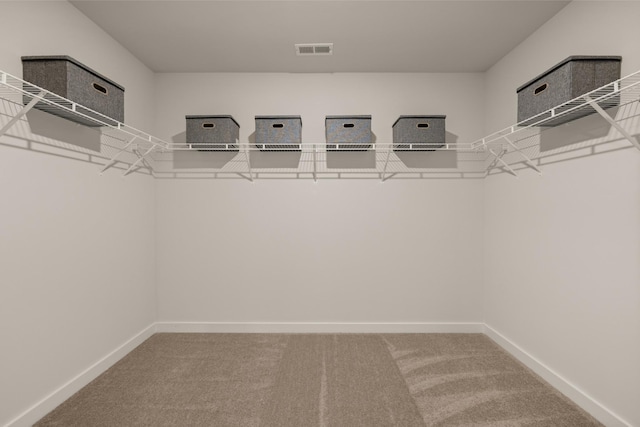 spacious closet featuring carpet floors and visible vents