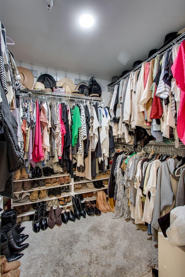 walk in closet with carpet floors