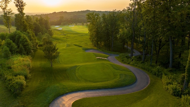 7108 Mason Grove Ct, College Grove, TN 37046 - view of community featuring view of golf course