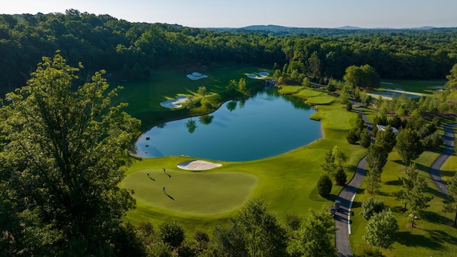 7108 Mason Grove Ct, College Grove, TN 37046 - aerial view of a forest, a large body of water, and a golf club