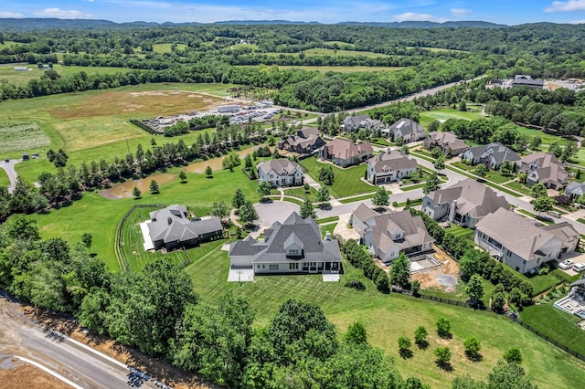 7108 Mason Grove Ct, College Grove, TN 37046 - aerial view of residential area