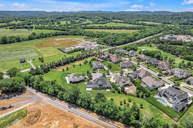 7108 Mason Grove Ct, College Grove, TN 37046 - aerial view of residential area with a mountain backdrop