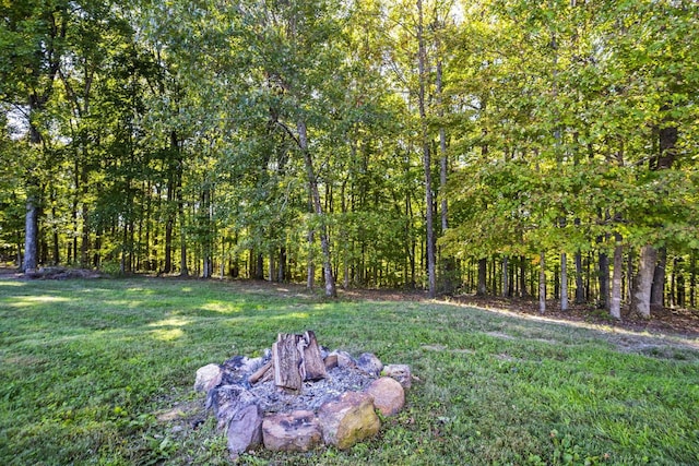 view of yard with an outdoor fire pit