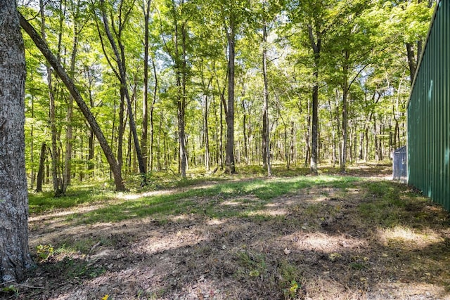 view of local wilderness featuring a view of trees