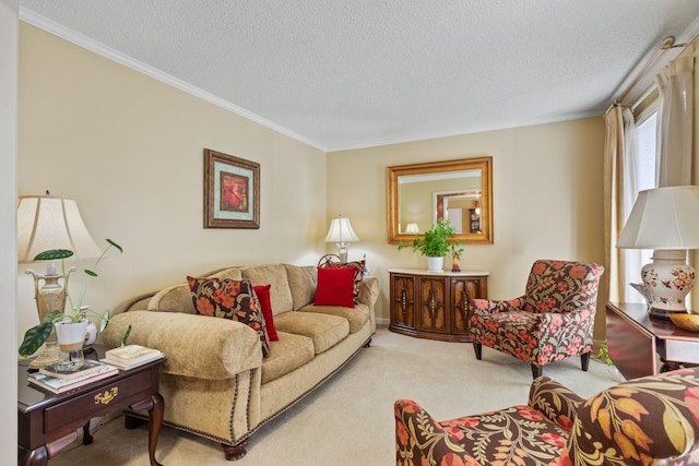 carpeted living room featuring ornamental molding and a textured ceiling