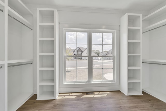 spacious closet featuring wood finished floors