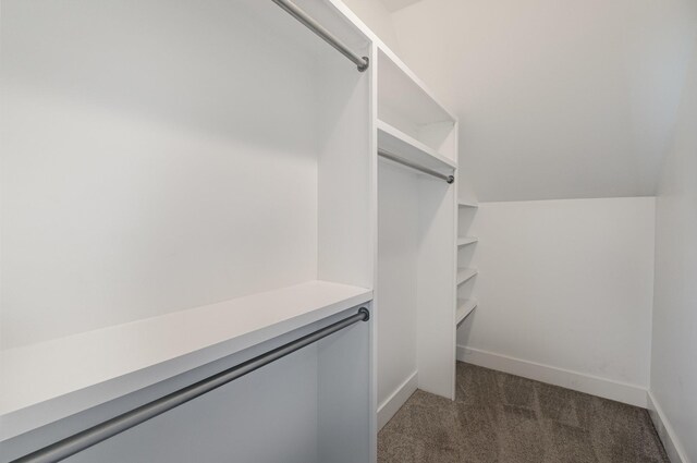 64 Harbor Pt, Lebanon, TN 37087 - spacious closet featuring dark colored carpet