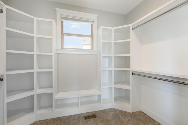 64 Harbor Pt, Lebanon, TN 37087 - spacious closet with carpet