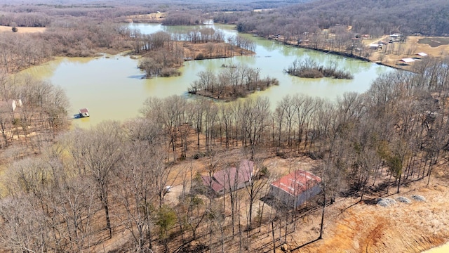 drone / aerial view featuring a water view and a forest view