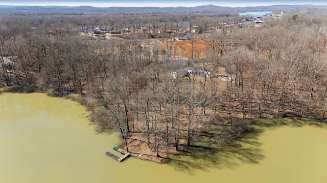 drone / aerial view featuring a mountain view