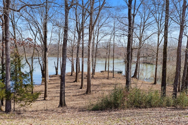 view of water feature