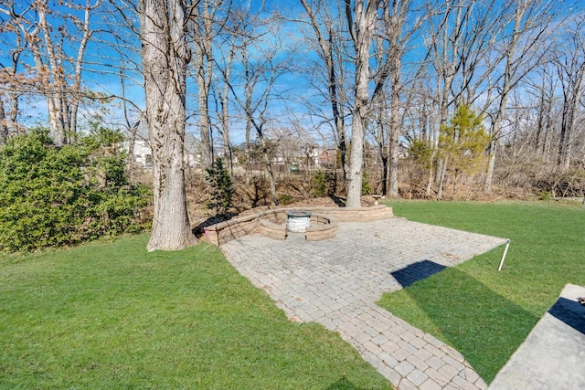 view of yard featuring a patio area and a fire pit