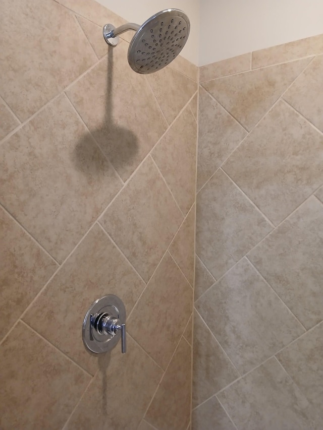 details featuring tiled shower