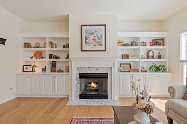 living area featuring light wood finished floors and a premium fireplace