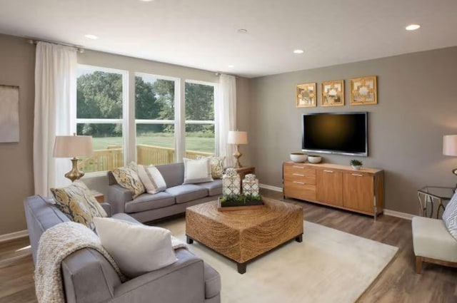 living room featuring recessed lighting, wood finished floors, and baseboards