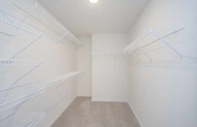 walk in closet with carpet flooring