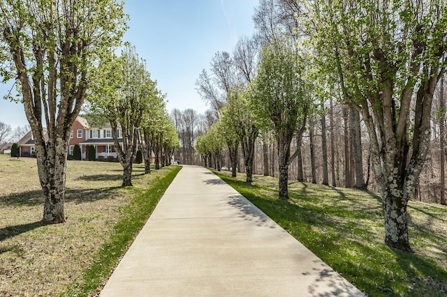 view of property's community featuring a lawn