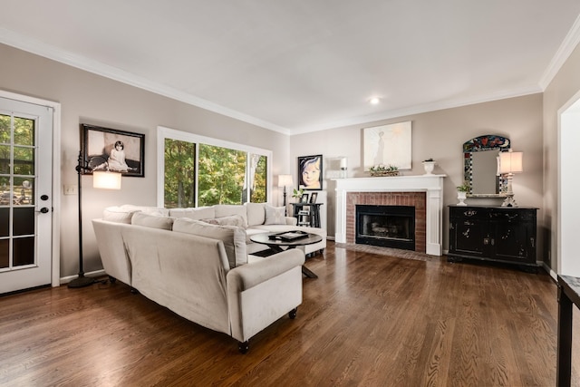 living area featuring ornamental molding, a wealth of natural light, dark wood-style flooring, and a fireplace