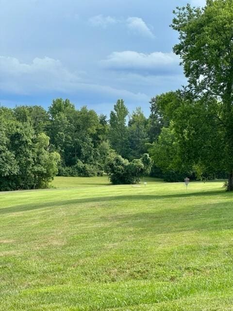 view of community with a lawn