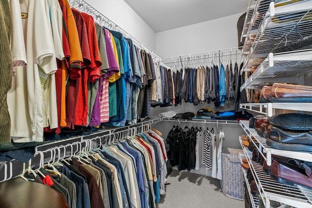 walk in closet featuring carpet flooring